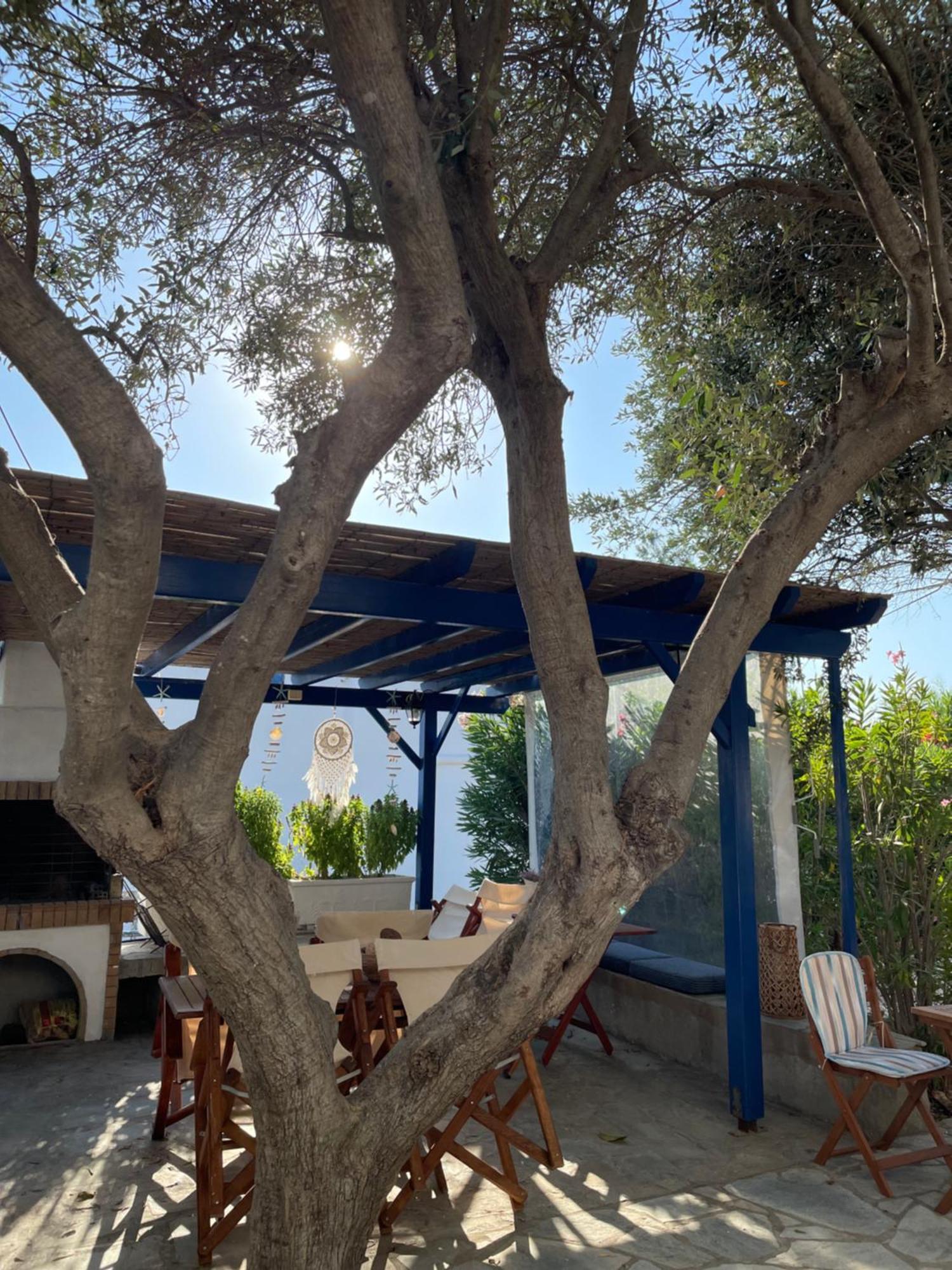 Villa Gelly'S Studios Aliki  Exterior photo